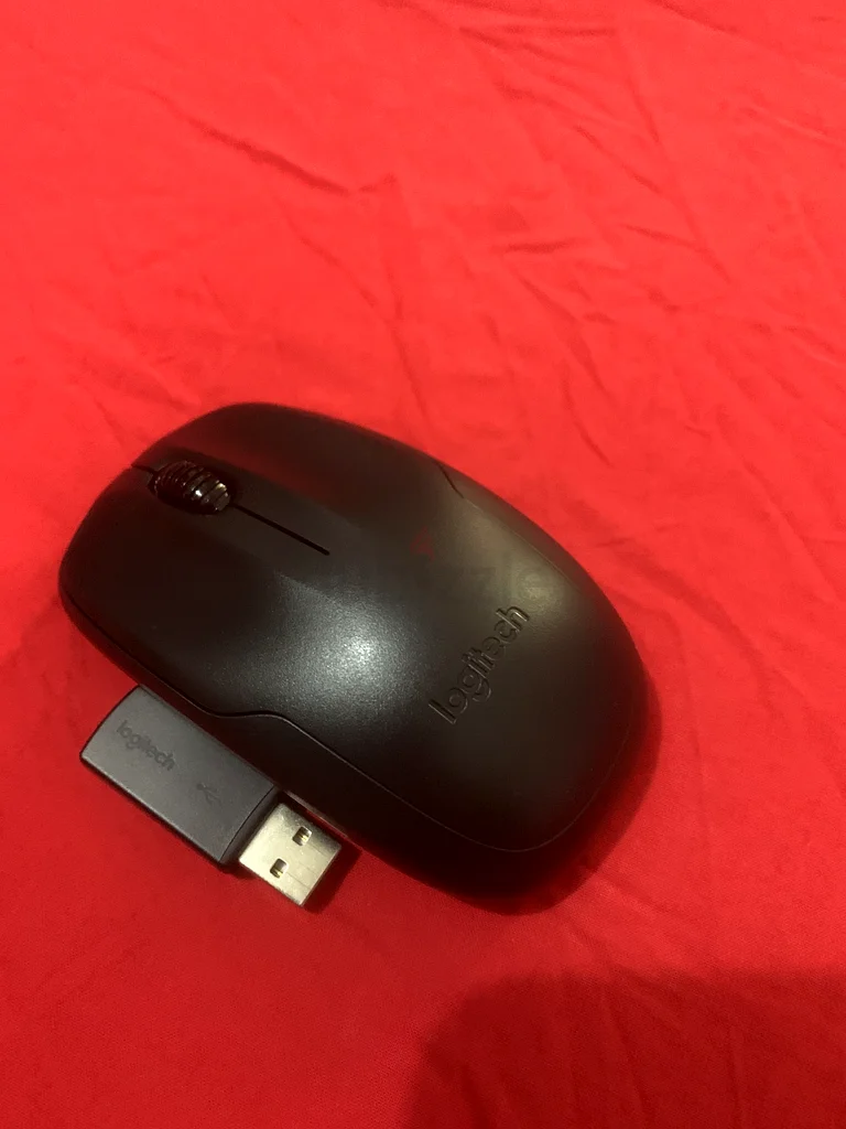 Wireless mouse632560656008991125
