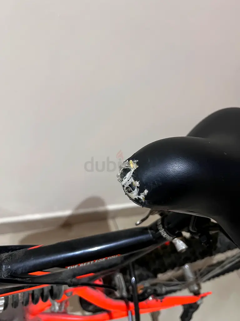 Bicycle63245718728962118