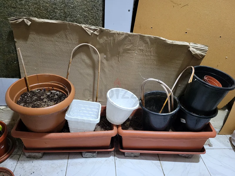 Beautiful Planter Collection for Your Garden!63220827897730111