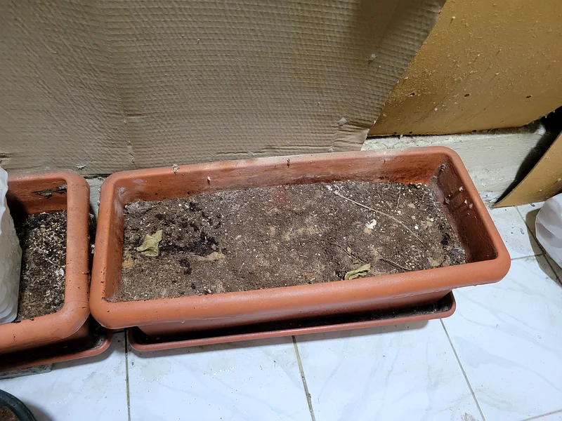 Beautiful Planter Collection for Your Garden!63220827897730112