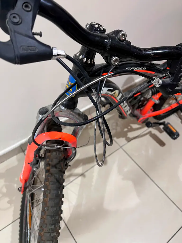 Bicycle63245718728962116