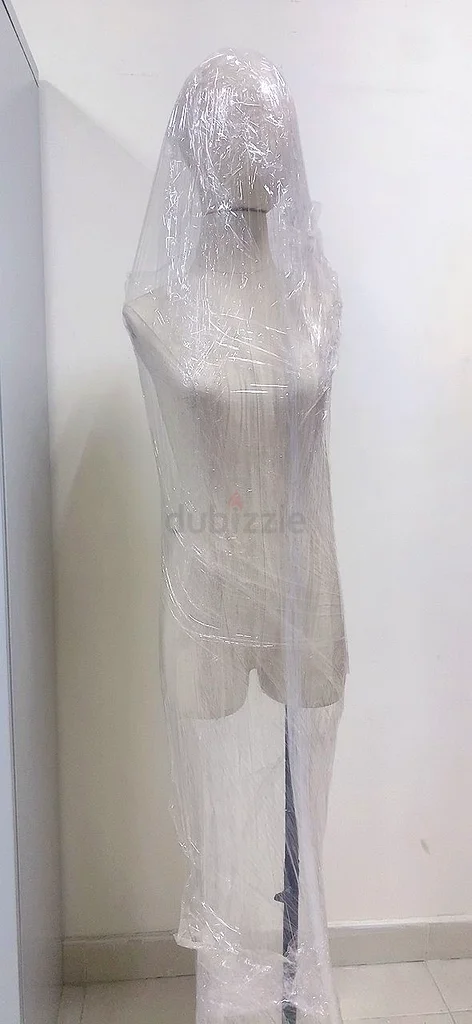 Mannequins63258660430337113