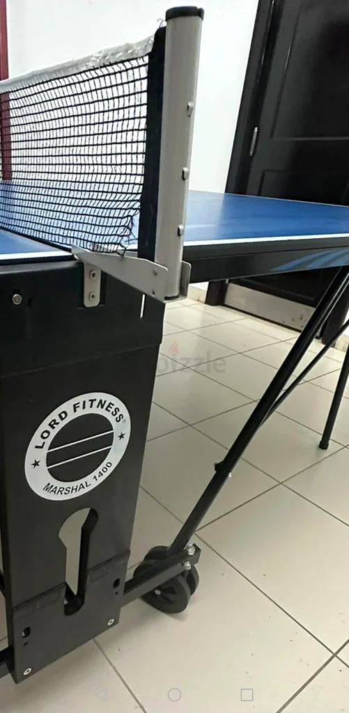 Professional-Quality Table Tennis Table for Sale!63244207110273111