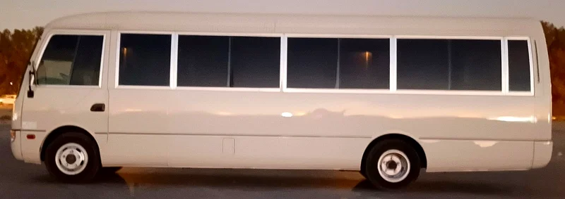 Mitsubishi Rosa 201663152748372353114