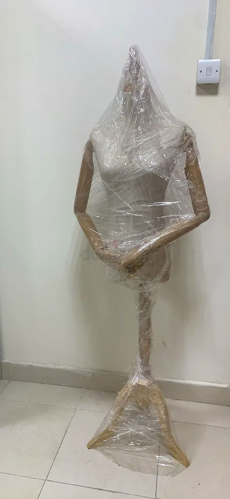 Mannequins63258660430337115
