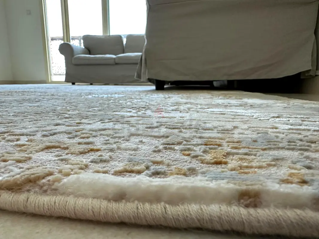 Elegant Modern Area Rug for Your Living Space