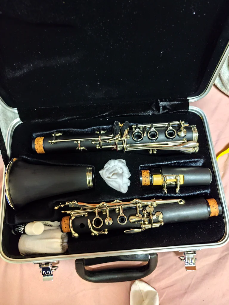 Clarinet Bflat632272766609941119