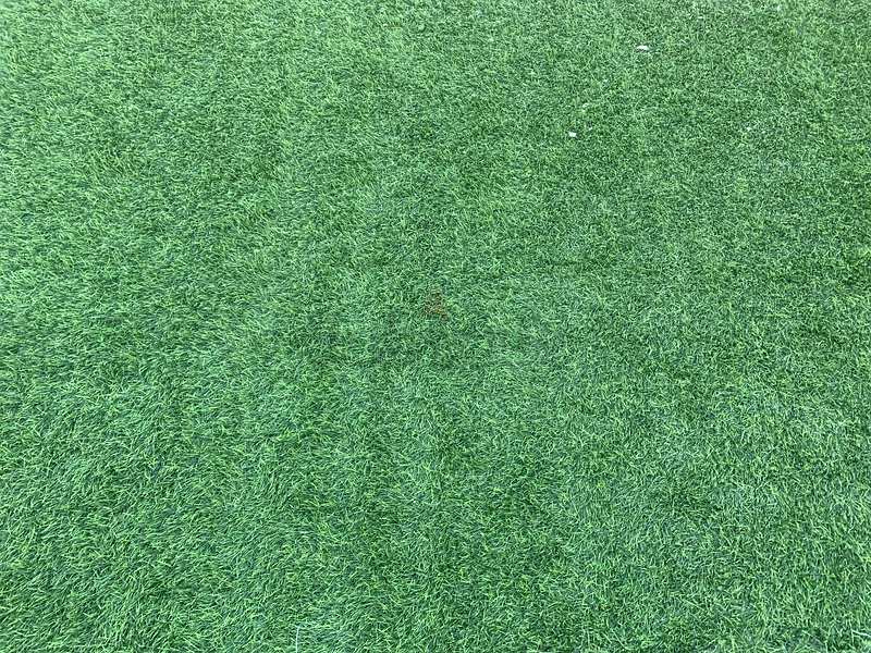 Artificial Grass63178436895874113
