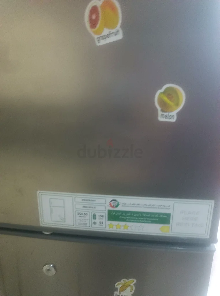 Stainless Steel Refrigerator for Sale - Perfect Condition!63168055221123111