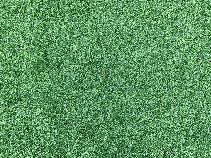Artificial Grass63178436895874111