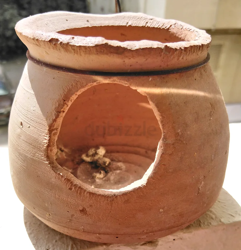 Bird Nest +Pot @3063231685847043112