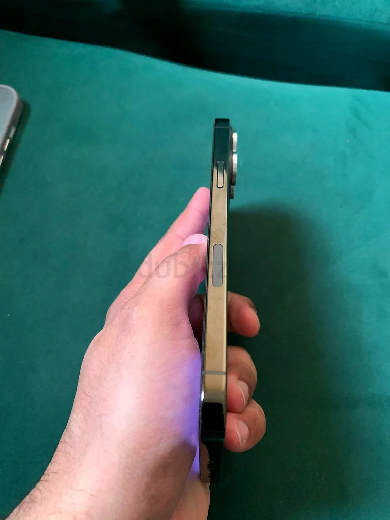 Iphone 13 pro max63217826615810112