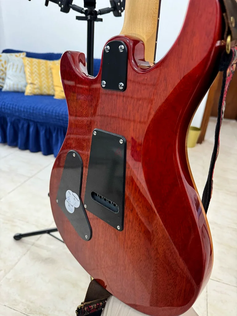 PRS se Electric guitar63198620918786113
