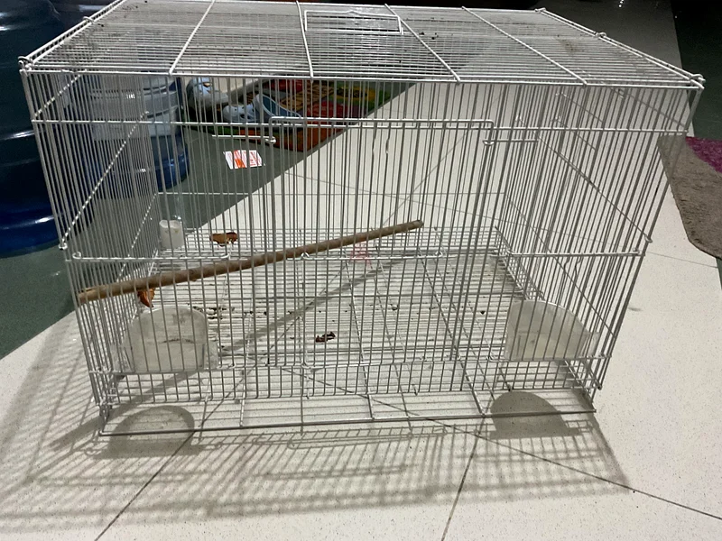 Bird cage63231685853955111