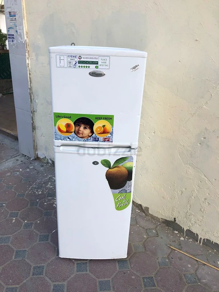 Medium size fridge63252443967490111