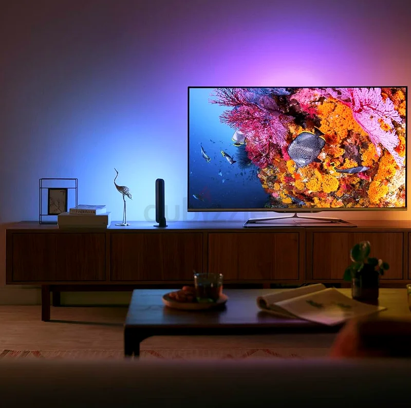 PHILIPS Hue Play White and Colour Ambiance Smart LightS63264592857602112
