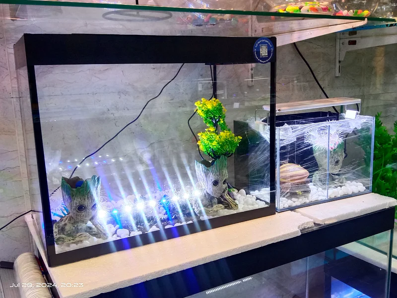 UAE Handmade Fish Tanks: Customized Glass Aquariums63232160962178113