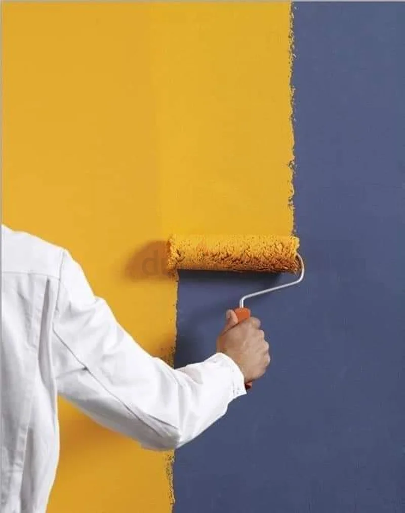 Professional wall painting exterior and interior design62931689237890111