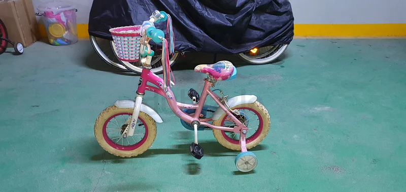 Girls Bicycle with Training Wheels63202197961731111