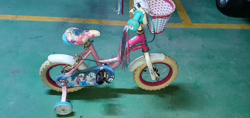Girls Bicycle with Training Wheels63202197961731113