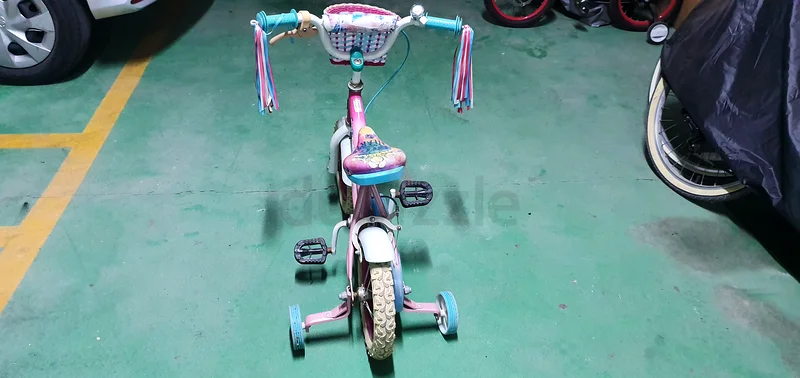 Girls Bicycle with Training Wheels63202197961731112