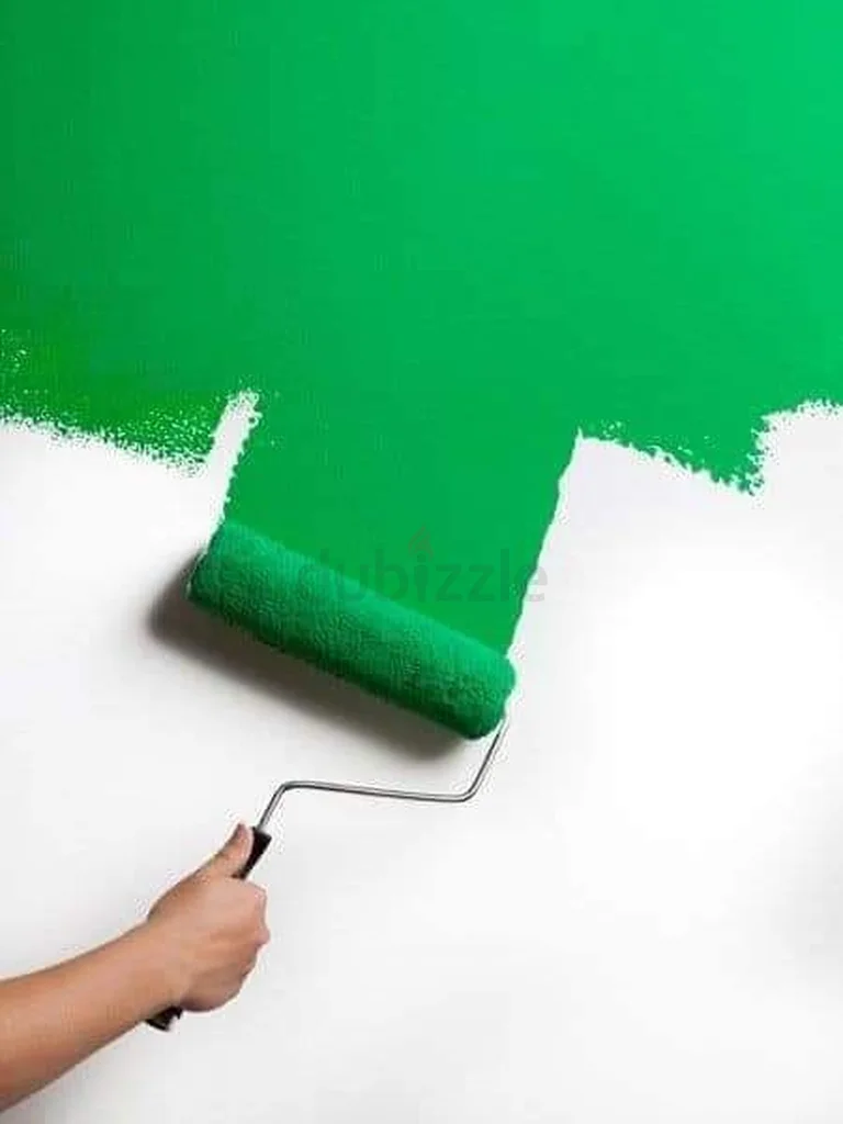 Professional wall painting exterior and interior design62931689237890112