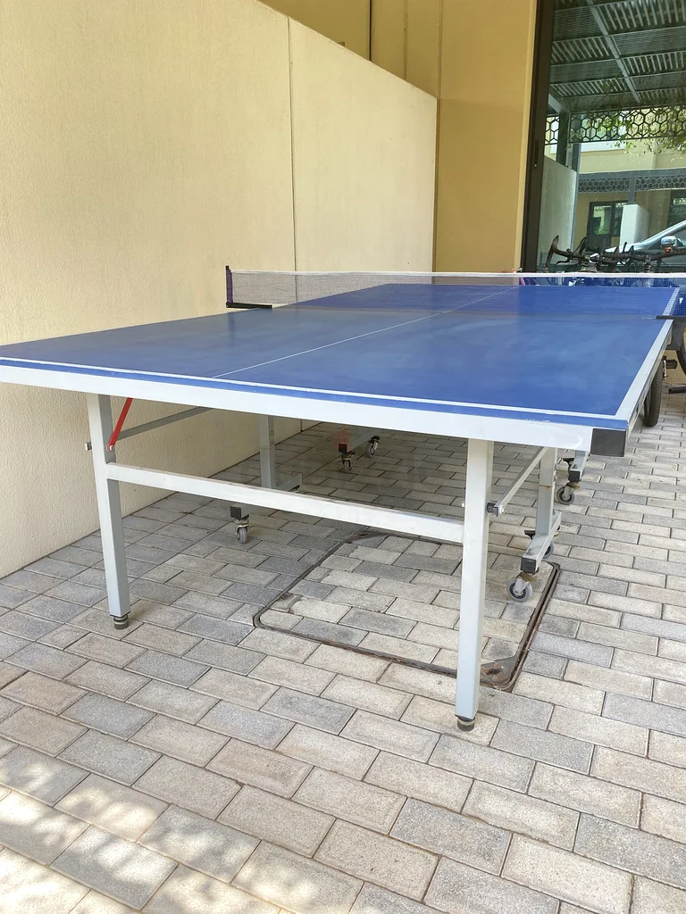 Foldable skyline tennis table63244207144707112