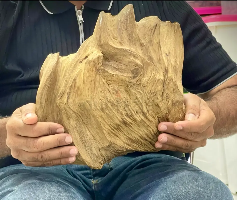 A piece of Moroccan oud, super high quality, 2kg weight.