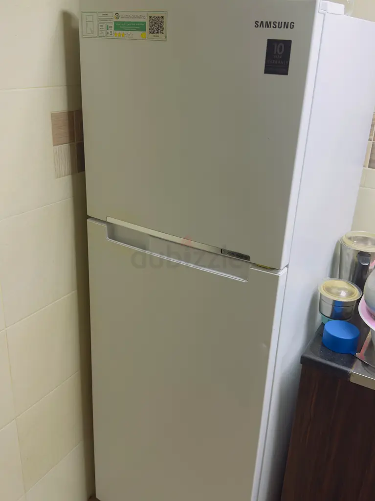 Fridge