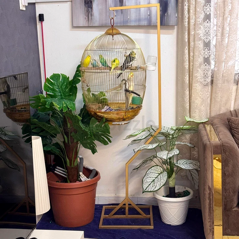 Charming Indoor Plant Collection with Decorative Stand63211910323587111