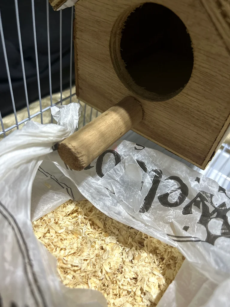 Essential Bird Accessories: Nest Box and Water Bottle Set63232650392193111