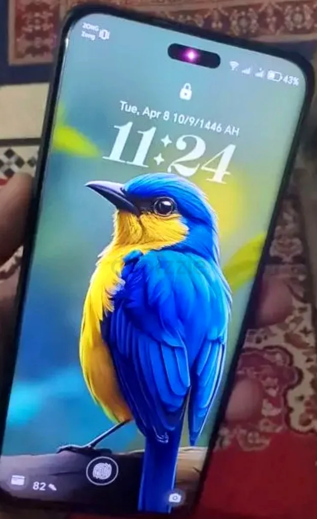 Honor magic 6 pro 12    512gb63215378743042111