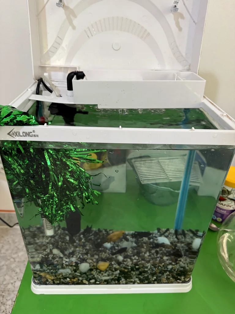 Beautifully Set Up Aquarium for Sale!63232650145666110