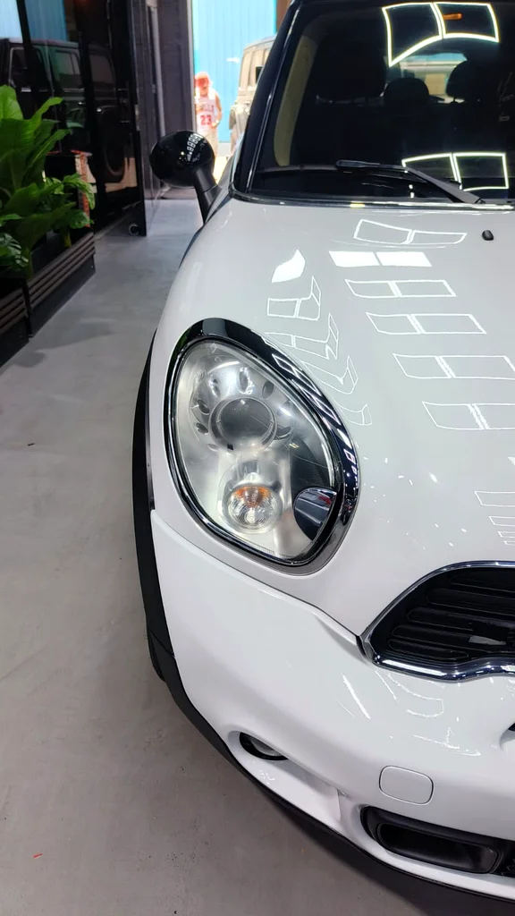 رجل الريف S طازج مستورد من كوريا63175703929730114
