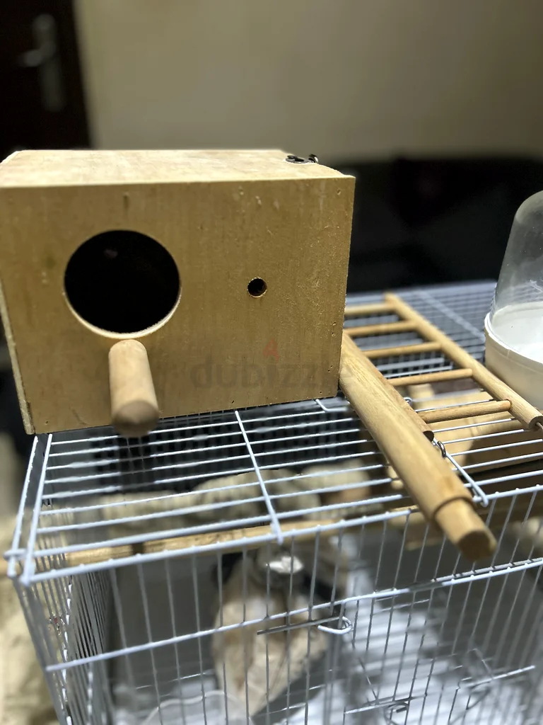 Essential Bird Accessories: Nest Box and Water Bottle Set63232650392193112