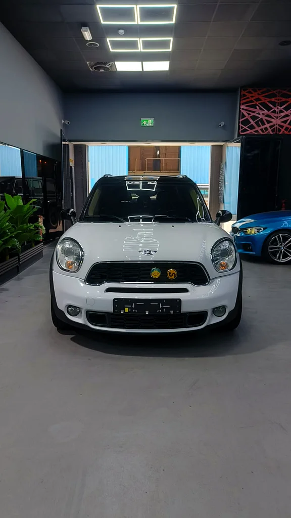 رجل الريف S طازج مستورد من كوريا63175703929730112