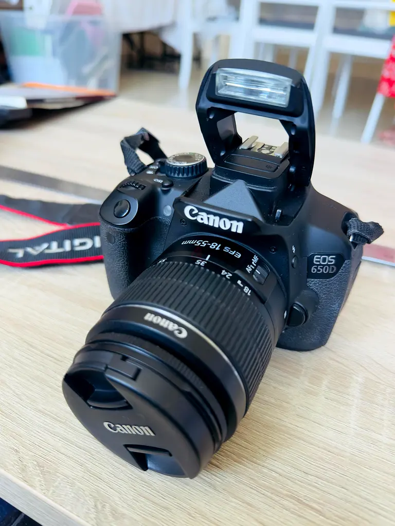 التقط كل لحظة بكاميرا كانون EOS 650D الرقمية أحادية العدسة الم reflex!