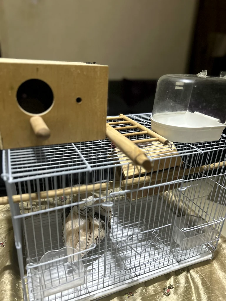 Essential Bird Accessories: Nest Box and Water Bottle Set63232650392193113