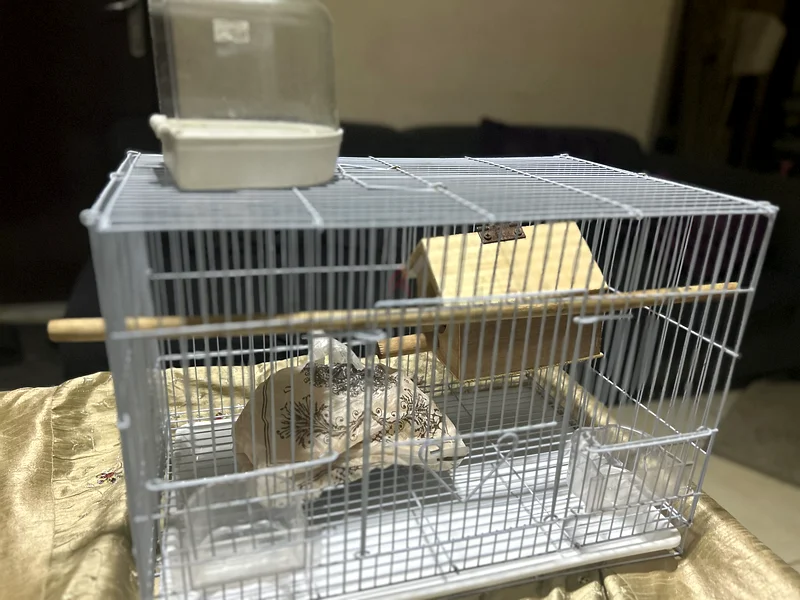 Essential Bird Accessories: Nest Box and Water Bottle Set63232650392193114