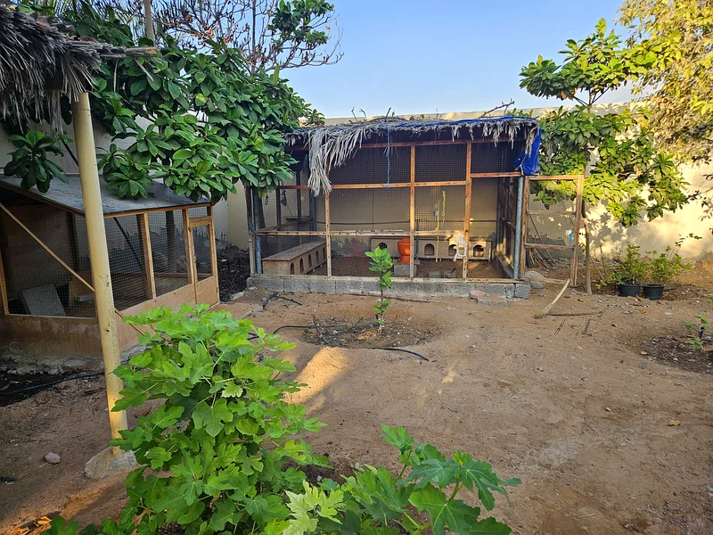 Plant Nursery63258656661889111