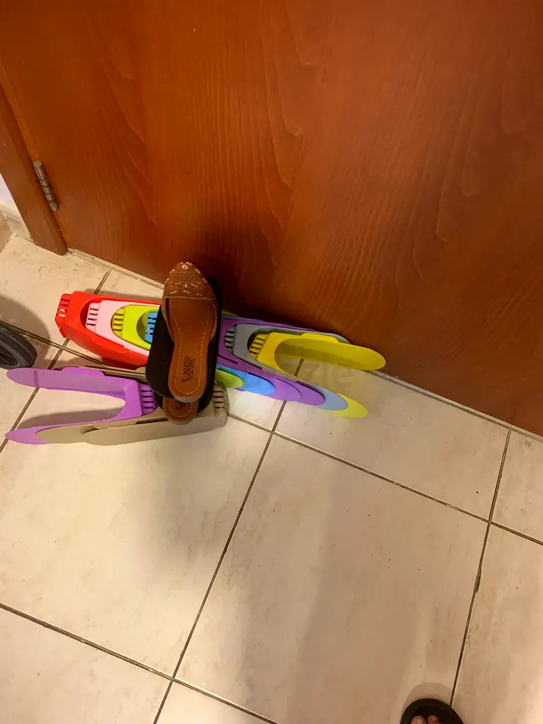 شورس ريكس
