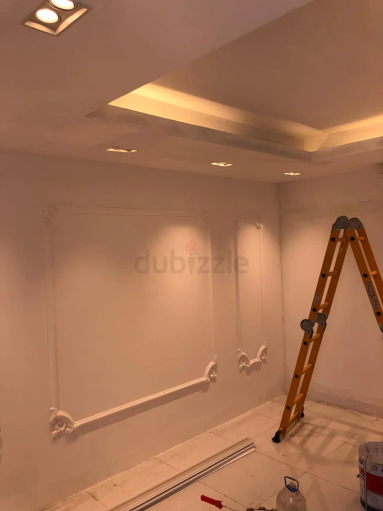 PAINTING SERVICE 24/7 DAYS BEST PAINTER. Plumber service629336987761931111