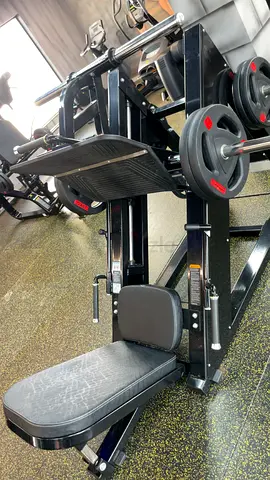 Leg Press