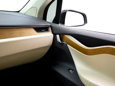 2019 Tesla MODEL X 缩略图 14