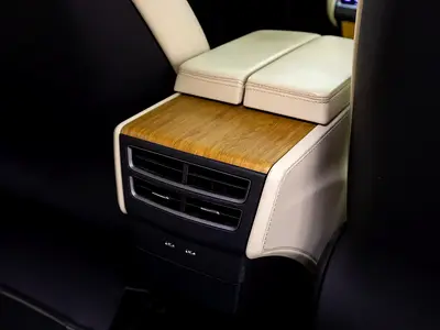 2019 Tesla MODEL X 缩略图 18