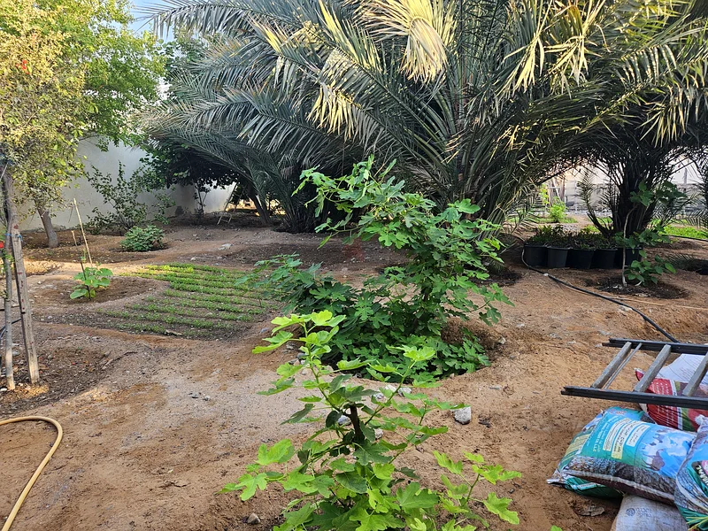 Plant Nursery63258656661889114