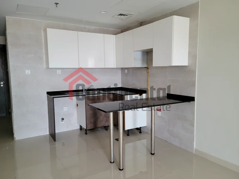 Luxurious Studio For Rent in Dubai62890343720577114
