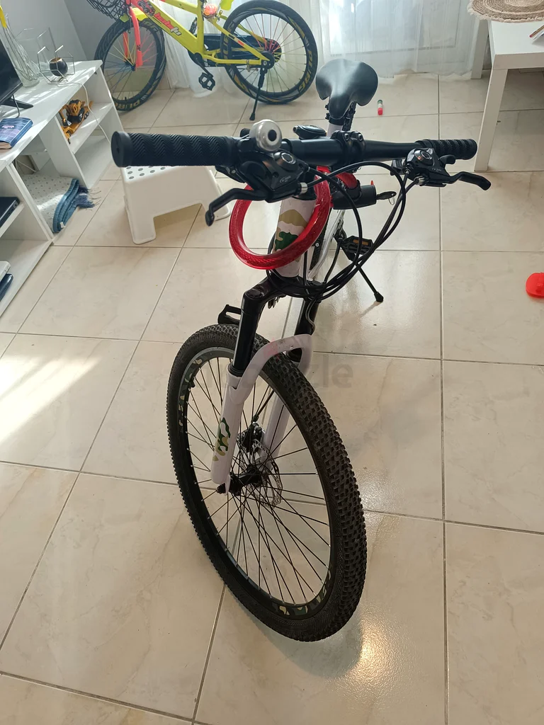 Gear cycle with lock and light63246753165059111