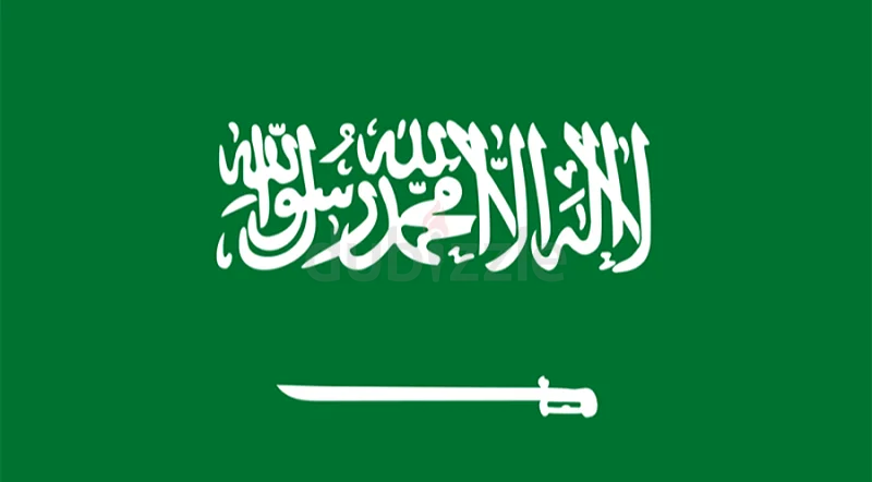 Saudi Azad Visas Available for Just 11k SAR! (For 1 Year)63217334551938111