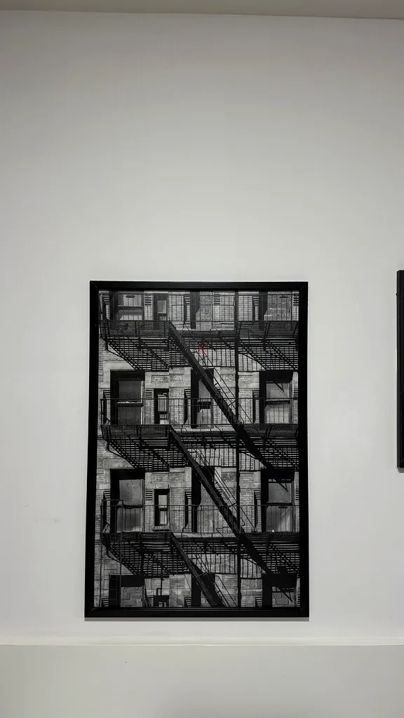 ملصق إيكيا BJÖRKSTA صورة بإطار - شرفات/أسود 78×118 سم63222339739521111